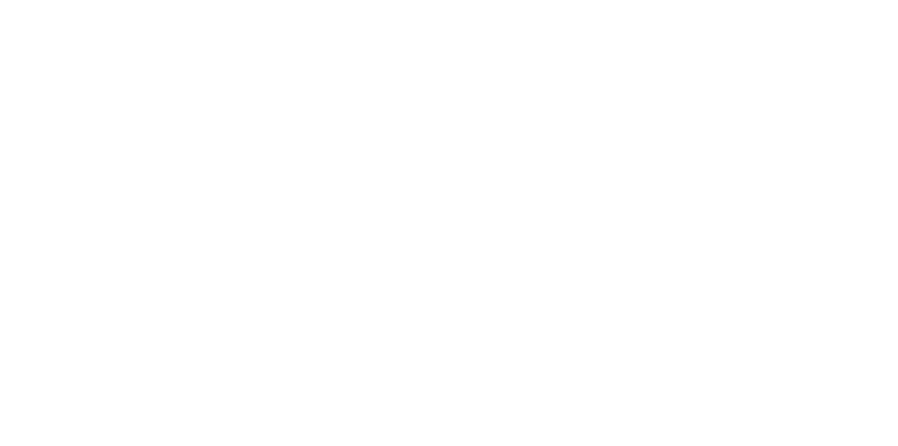 MEDIA VIDEO