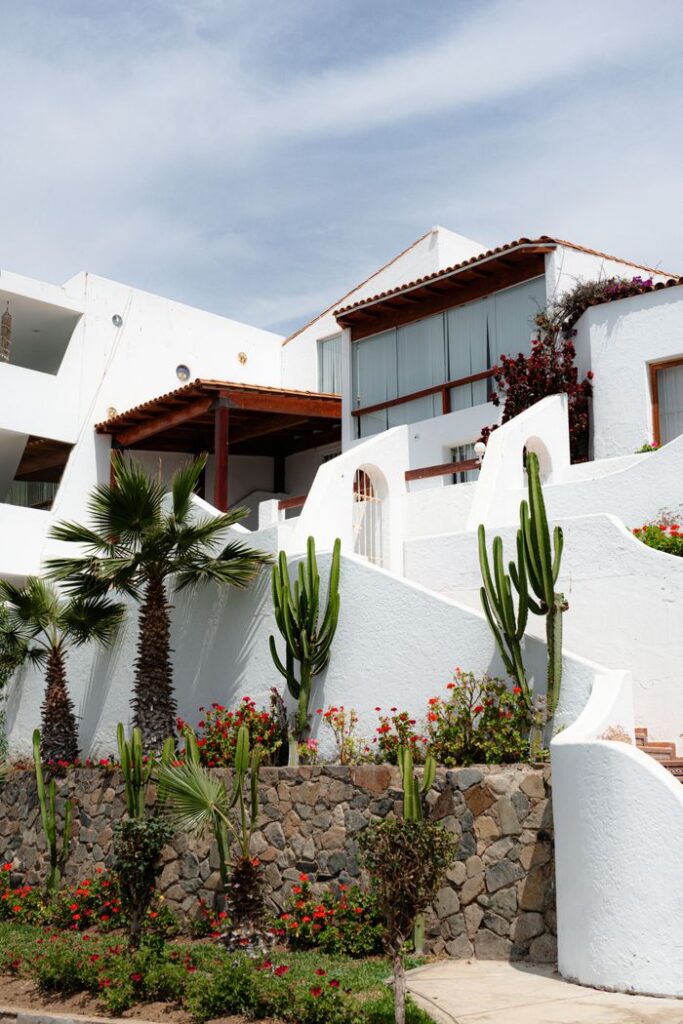 Contemporary villa exterior with cacti and palm trees, ideal for luxury living.